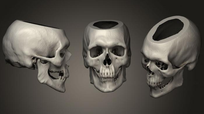 Anatomy of skeletons and skulls (ANTM_1292) 3D model for CNC machine